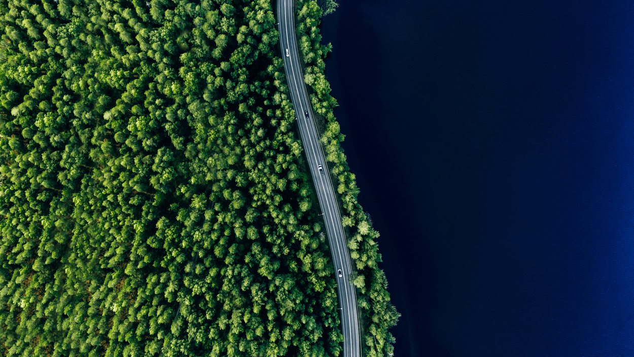 Flyfoto av vei som går gjennom skog langs vann.